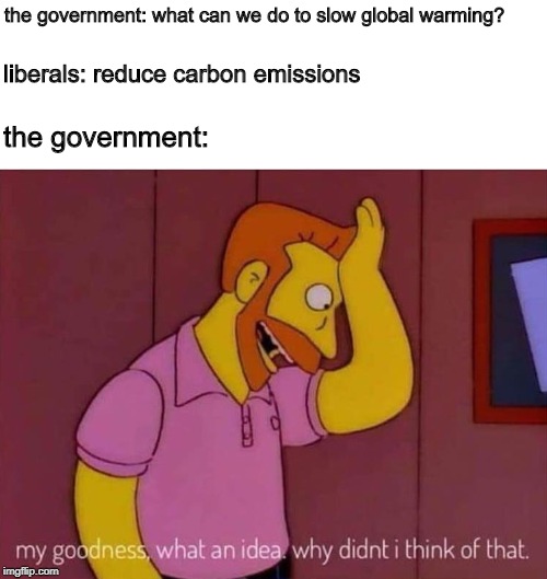 if it were that simple they would have done it a long time ago | the government: what can we do to slow global warming? liberals: reduce carbon emissions; the government: | image tagged in my goodness what an idea why didn't i think of that,memes,politics,global warming,climate change | made w/ Imgflip meme maker