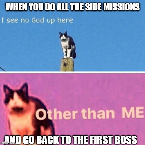 Hail pole cat | WHEN YOU DO ALL THE SIDE MISSIONS; AND GO BACK TO THE FIRST BOSS | image tagged in hail pole cat | made w/ Imgflip meme maker