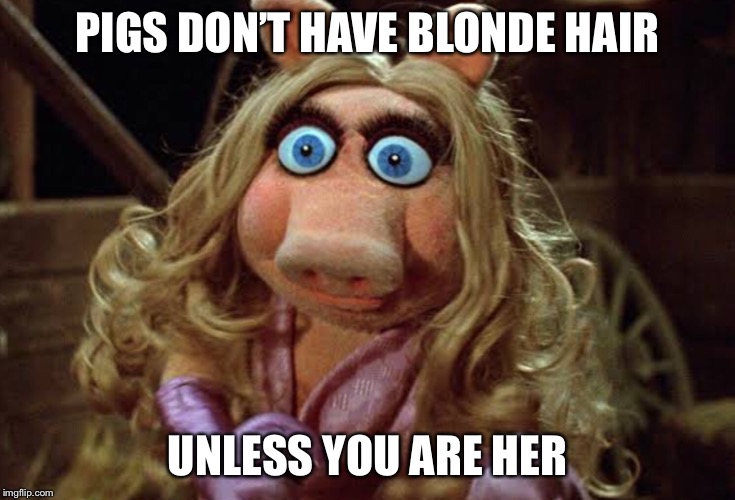 Miss piggy | PIGS DON’T HAVE BLONDE HAIR; UNLESS YOU ARE HER | image tagged in pig | made w/ Imgflip meme maker