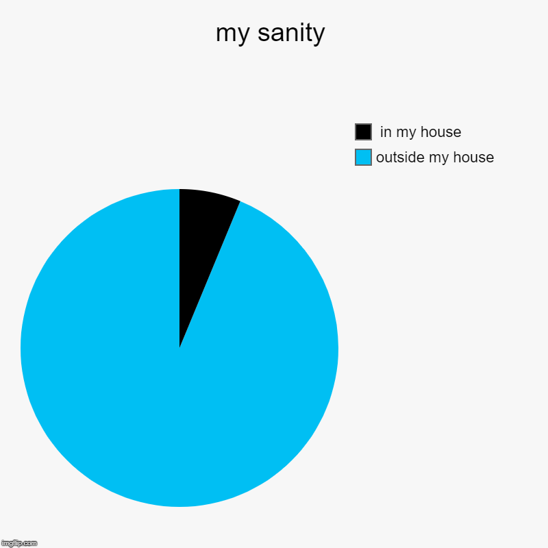 my sanity | outside my house,  in my house | image tagged in charts,pie charts | made w/ Imgflip chart maker