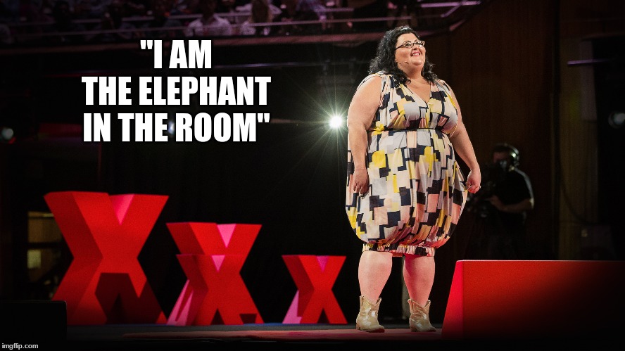 "I AM THE ELEPHANT IN THE ROOM" | image tagged in fat acceptance,feminist | made w/ Imgflip meme maker