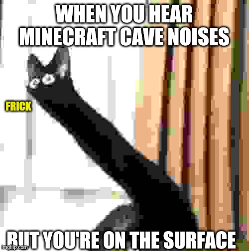 Long Neck Cat | WHEN YOU HEAR MINECRAFT CAVE NOISES; FRICK; BUT YOU'RE ON THE SURFACE | image tagged in long neck cat | made w/ Imgflip meme maker