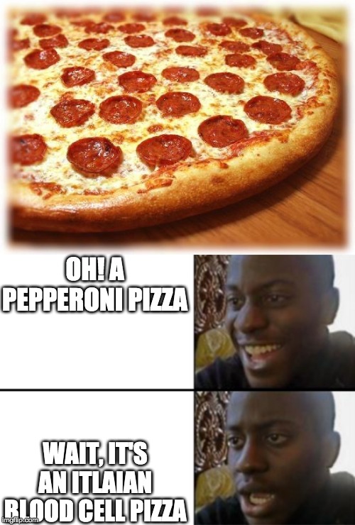 OH! A PEPPERONI PIZZA WAIT, IT'S AN ITLAIAN BLOOD CELL PIZZA | image tagged in coming out pizza,oh yeah oh no | made w/ Imgflip meme maker