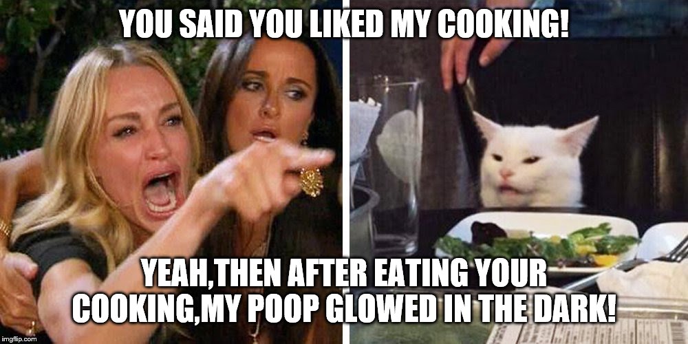 Smudge the cat | YOU SAID YOU LIKED MY COOKING! YEAH,THEN AFTER EATING YOUR COOKING,MY POOP GLOWED IN THE DARK! | image tagged in smudge the cat | made w/ Imgflip meme maker