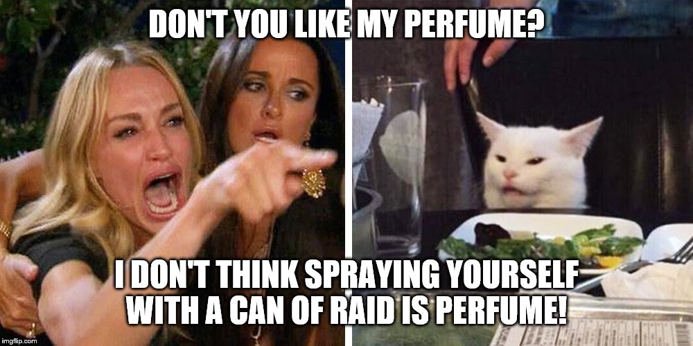 Smudge the cat | DON'T YOU LIKE MY PERFUME? I DON'T THINK SPRAYING YOURSELF WITH A CAN OF RAID IS PERFUME! | image tagged in smudge the cat | made w/ Imgflip meme maker