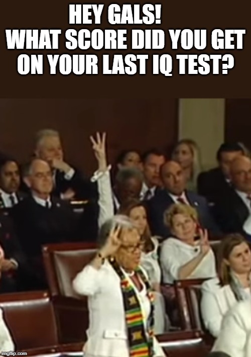 Democrat female IQ test | HEY GALS!      WHAT SCORE DID YOU GET ON YOUR LAST IQ TEST? | image tagged in democrat,female,feminists,three,sotu,white | made w/ Imgflip meme maker