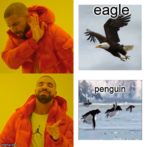 Drake Hotline Bling | eagle; penguin | image tagged in memes,drake hotline bling | made w/ Imgflip meme maker