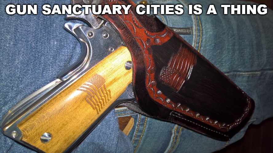 Fighting back one city at a time. | GUN SANCTUARY CITIES IS A THING | image tagged in second amendment,conservative news,2nd amendment sanctuary cities | made w/ Imgflip meme maker