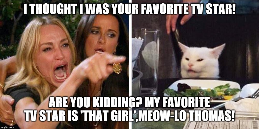Smudge the cat | I THOUGHT I WAS YOUR FAVORITE TV STAR! ARE YOU KIDDING? MY FAVORITE TV STAR IS 'THAT GIRL',MEOW-LO THOMAS! | image tagged in smudge the cat | made w/ Imgflip meme maker