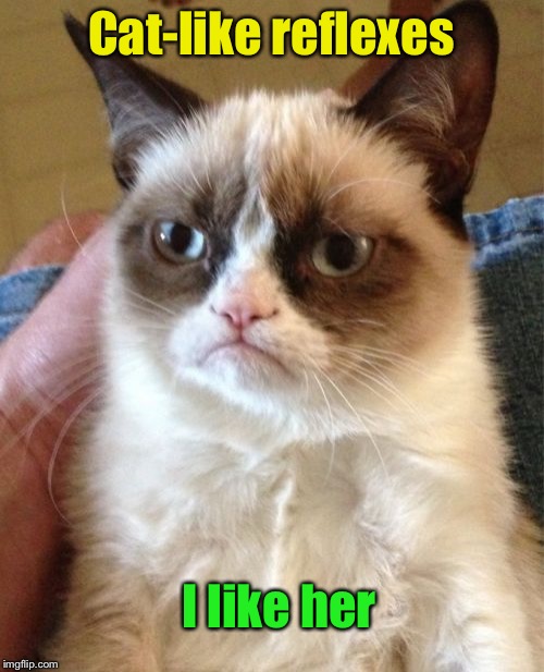 Grumpy Cat Meme | Cat-like reflexes I like her | image tagged in memes,grumpy cat | made w/ Imgflip meme maker