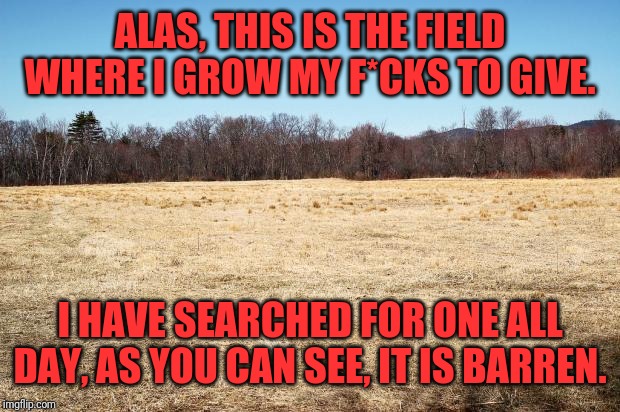 Field Where Fucks are Grown | ALAS, THIS IS THE FIELD WHERE I GROW MY F*CKS TO GIVE. I HAVE SEARCHED FOR ONE ALL DAY, AS YOU CAN SEE, IT IS BARREN. | image tagged in field where fucks are grown | made w/ Imgflip meme maker