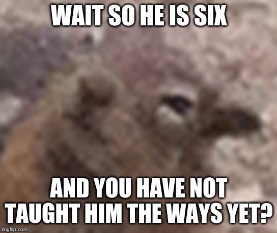 are you serious | WAIT SO HE IS SIX AND YOU HAVE NOT TAUGHT HIM THE WAYS YET? | image tagged in are you serious | made w/ Imgflip meme maker