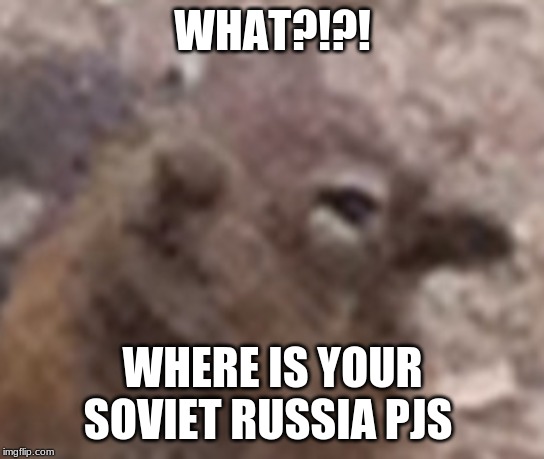 are you serious | WHAT?!?! WHERE IS YOUR SOVIET RUSSIA PJS | image tagged in are you serious | made w/ Imgflip meme maker