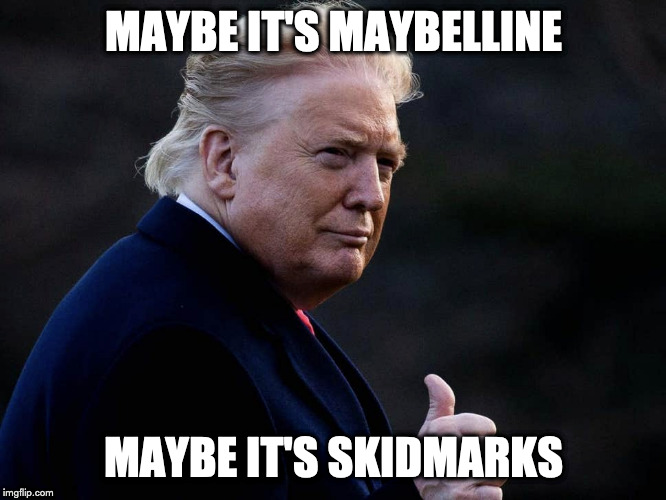 Maybe It's Maybelline | MAYBE IT'S MAYBELLINE; MAYBE IT'S SKIDMARKS | image tagged in donald trump,orange face,orange | made w/ Imgflip meme maker