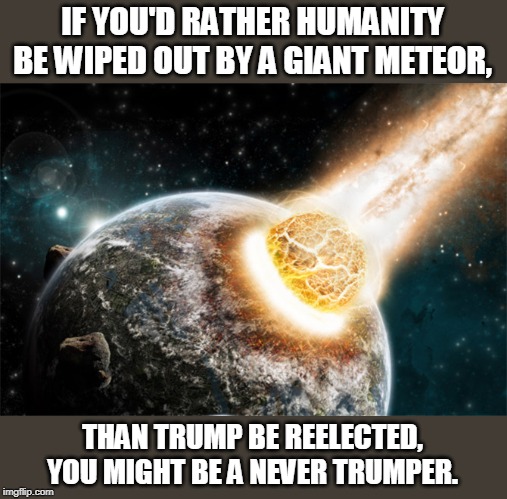 Insanely Fanatical | IF YOU'D RATHER HUMANITY BE WIPED OUT BY A GIANT METEOR, THAN TRUMP BE REELECTED, YOU MIGHT BE A NEVER TRUMPER. | image tagged in meteor | made w/ Imgflip meme maker