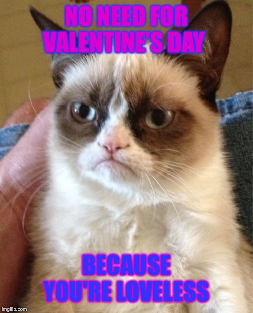 Grumpy Cat Meme | NO NEED FOR VALENTINE’S DAY; BECAUSE YOU'RE LOVELESS | image tagged in memes,grumpy cat | made w/ Imgflip meme maker