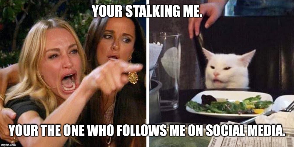 Smudge the cat | YOUR STALKING ME. YOUR THE ONE WHO FOLLOWS ME ON SOCIAL MEDIA. | image tagged in smudge the cat | made w/ Imgflip meme maker