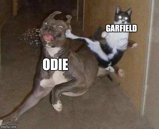 Cat Kicking Dog | GARFIELD ODIE | image tagged in cat kicking dog | made w/ Imgflip meme maker