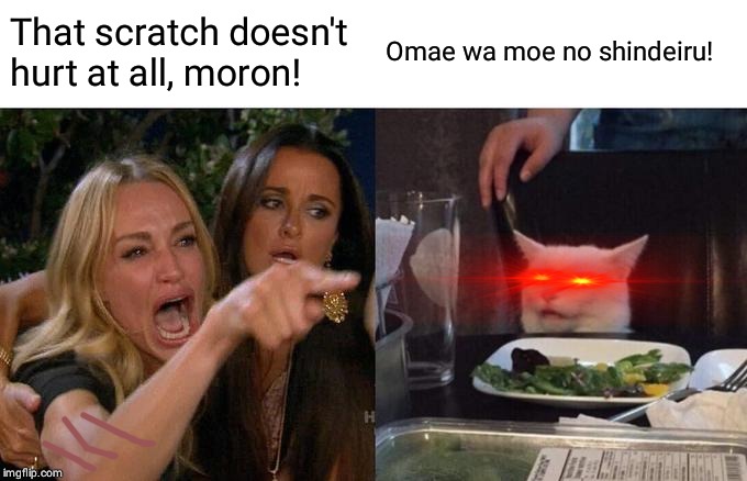 Woman Yelling At Cat | That scratch doesn't hurt at all, moron! Omae wa moe no shindeiru! | image tagged in memes,woman yelling at cat | made w/ Imgflip meme maker