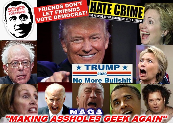 Friends Dont Let Friends Vote Democrat | M. A. G. A. "MAKING ASSHOLES GEEK AGAIN" | image tagged in stupid liberals,trump 2020,america first,maga,trump train | made w/ Imgflip meme maker