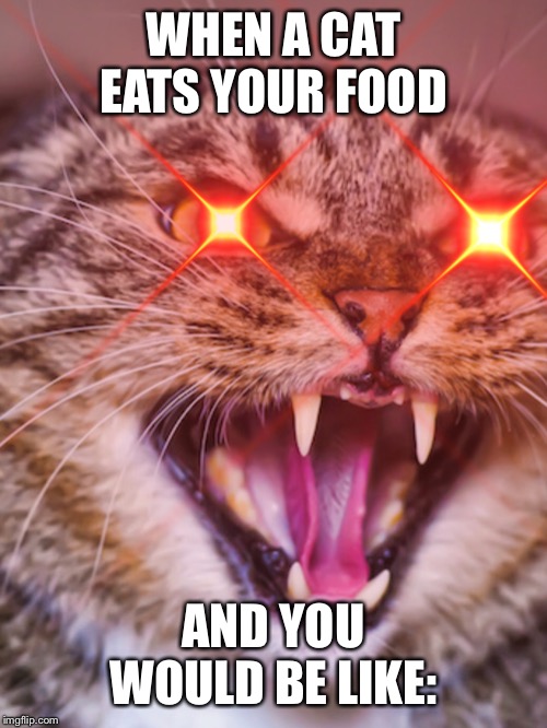 ANGURY AS HELL! | WHEN A CAT EATS YOUR FOOD; AND YOU WOULD BE LIKE: | image tagged in angury as hell | made w/ Imgflip meme maker