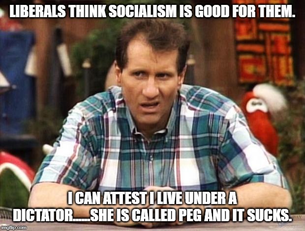 Al Bundy | LIBERALS THINK SOCIALISM IS GOOD FOR THEM. I CAN ATTEST I LIVE UNDER A DICTATOR......SHE IS CALLED PEG AND IT SUCKS. | image tagged in al bundy | made w/ Imgflip meme maker