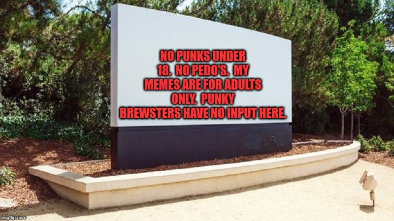 BLANK BILLBOARD | NO PUNKS UNDER 18.  NO PEDO'S.  MY MEMES ARE FOR ADULTS ONLY.  PUNKY BREWSTERS HAVE NO INPUT HERE. | image tagged in blank billboard | made w/ Imgflip meme maker