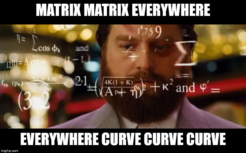 Hangover Math | MATRIX MATRIX EVERYWHERE; EVERYWHERE CURVE CURVE CURVE | image tagged in hangover math | made w/ Imgflip meme maker