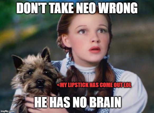 Toto Wizard of Oz | DON'T TAKE NEO WRONG HE HAS NO BRAIN <MY LIPSTICK HAS COME OUT LOL | image tagged in toto wizard of oz | made w/ Imgflip meme maker