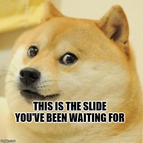 Doge | THIS IS THE SLIDE YOU'VE BEEN WAITING FOR | image tagged in memes,doge | made w/ Imgflip meme maker