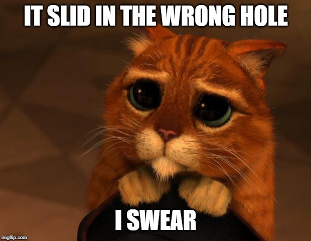 puss in boots eyes | IT SLID IN THE WRONG HOLE I SWEAR | image tagged in puss in boots eyes | made w/ Imgflip meme maker