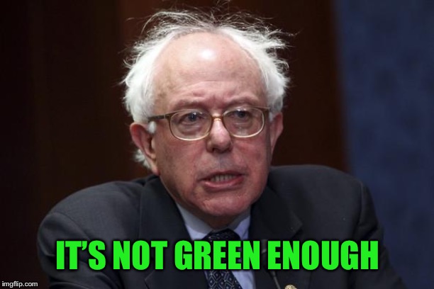 Bernie Sanders | IT’S NOT GREEN ENOUGH | image tagged in bernie sanders | made w/ Imgflip meme maker