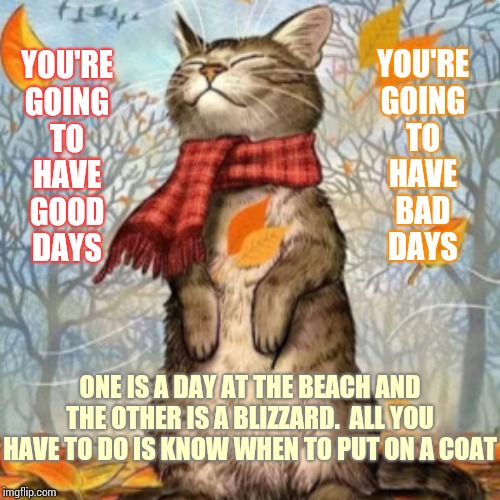 They're Both Worth Living | YOU'RE
GOING
TO
HAVE
GOOD
DAYS; YOU'RE
GOING
TO
HAVE
BAD
DAYS; ONE IS A DAY AT THE BEACH AND THE OTHER IS A BLIZZARD.  ALL YOU HAVE TO DO IS KNOW WHEN TO PUT ON A COAT | image tagged in memes,life,today was a good day,having a bad day,good day,bad day | made w/ Imgflip meme maker