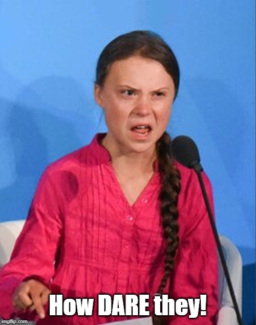 Greta Thunberg how dare you | How DARE they! | image tagged in greta thunberg how dare you | made w/ Imgflip meme maker