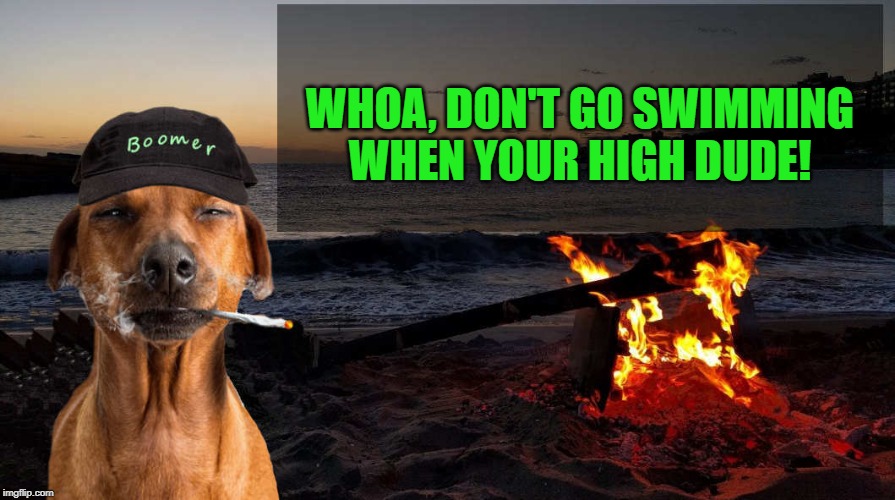 WHOA, DON'T GO SWIMMING WHEN YOUR HIGH DUDE! | image tagged in boomer says by kewlew | made w/ Imgflip meme maker