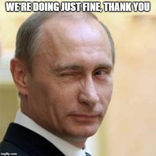 Putin Wink | WE'RE DOING JUST FINE, THANK YOU | image tagged in putin wink | made w/ Imgflip meme maker