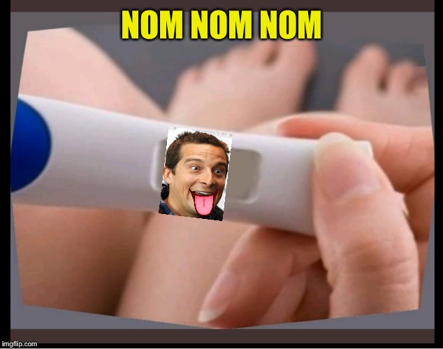 PREGNANCY TEST BLANK | NOM NOM NOM | image tagged in pregnancy test blank | made w/ Imgflip meme maker