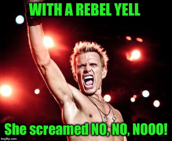 billy idol | WITH A REBEL YELL She screamed NO, NO, NOOO! | image tagged in billy idol | made w/ Imgflip meme maker