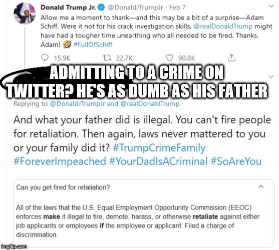 Jr Admits to Crime on Twitter | ADMITTING TO A CRIME ON TWITTER? HE'S AS DUMB AS HIS FATHER | image tagged in jr admits to crime on twitter | made w/ Imgflip meme maker