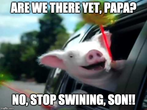 VACATION TIME!!! | ARE WE THERE YET, PAPA? NO, STOP SWINING, SON!! | image tagged in funny animals,children | made w/ Imgflip meme maker