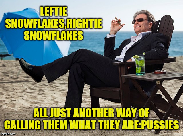 LEFTIE SNOWFLAKES,RIGHTIE SNOWFLAKES ALL JUST ANOTHER WAY OF CALLING THEM WHAT THEY ARE:PUSSIES | made w/ Imgflip meme maker