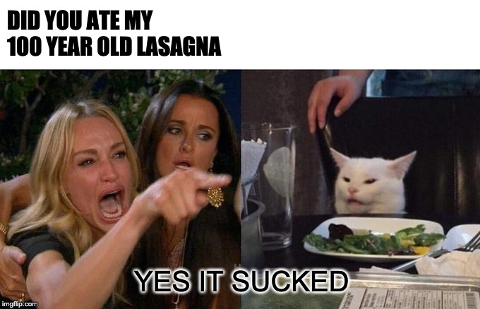 Woman Yelling At Cat | DID YOU ATE MY 100 YEAR OLD LASAGNA; YES IT SUCKED | image tagged in memes,woman yelling at cat | made w/ Imgflip meme maker