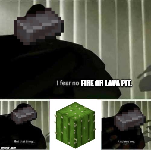 I fear no man | FIRE OR LAVA PIT. | image tagged in i fear no man | made w/ Imgflip meme maker