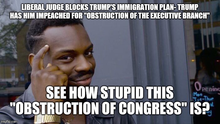 Roll Safe Think About It | LIBERAL JUDGE BLOCKS TRUMP'S IMMIGRATION PLAN- TRUMP HAS HIM IMPEACHED FOR "OBSTRUCTION OF THE EXECUTIVE BRANCH"; SEE HOW STUPID THIS "OBSTRUCTION OF CONGRESS" IS? | image tagged in memes,roll safe think about it | made w/ Imgflip meme maker