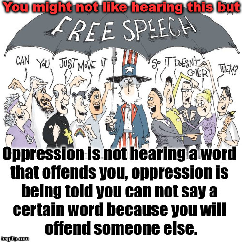 Freedom of speech to express yourself and ideas, no matter how horrific they may be so we know who you are. | You might not like hearing this but; Oppression is not hearing a word 
that offends you, oppression is 
being told you can not say a 
certain word because you will 
offend someone else. | image tagged in free speech,oppression | made w/ Imgflip meme maker