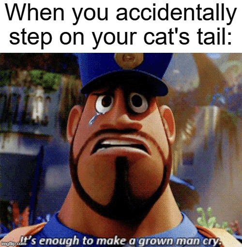 I'm sorry, little one | When you accidentally step on your cat's tail: | image tagged in it's enough to make a grown man cry,i'm sorry,cats,tails | made w/ Imgflip meme maker