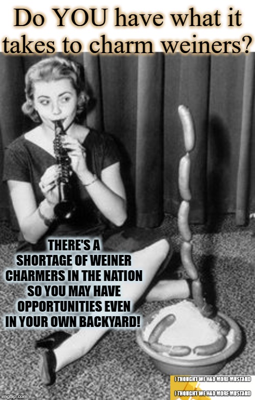 Weiner Charmers As Vocational Option | Do YOU have what it takes to charm weiners? THERE'S A SHORTAGE OF WEINER CHARMERS IN THE NATION SO YOU MAY HAVE OPPORTUNITIES EVEN IN YOUR OWN BACKYARD! | image tagged in weiner,charmed,band,band camp | made w/ Imgflip meme maker