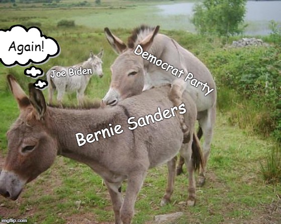 Again? | Again! Democrat Party; Joe Biden; Bernie Sanders | image tagged in bernie,joe | made w/ Imgflip meme maker