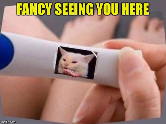 FANCY SEEING YOU HERE | made w/ Imgflip meme maker