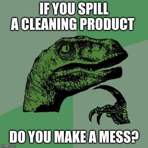 Philosoraptor | IF YOU SPILL A CLEANING PRODUCT; DO YOU MAKE A MESS? | image tagged in memes,philosoraptor | made w/ Imgflip meme maker